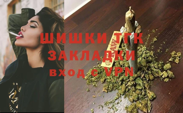 apvp Бородино