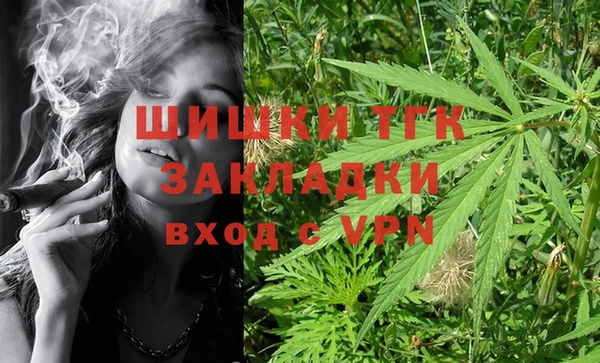apvp Бородино