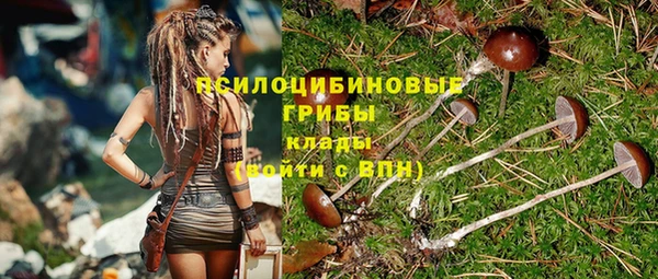 apvp Бородино