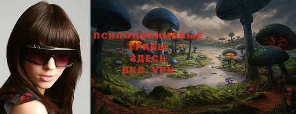 apvp Бородино