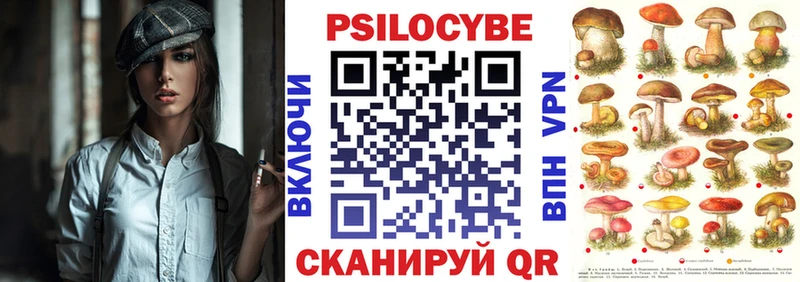 хочу наркоту  ОМГ ОМГ онион  Псилоцибиновые грибы Cubensis  Новый Оскол 